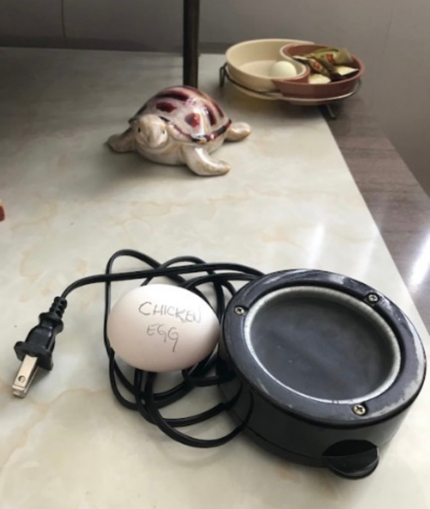 #05. Sorbian Egg Workshop - Mark Humphreys - Tuesday July 21st - 3:30pm to 5:30pm