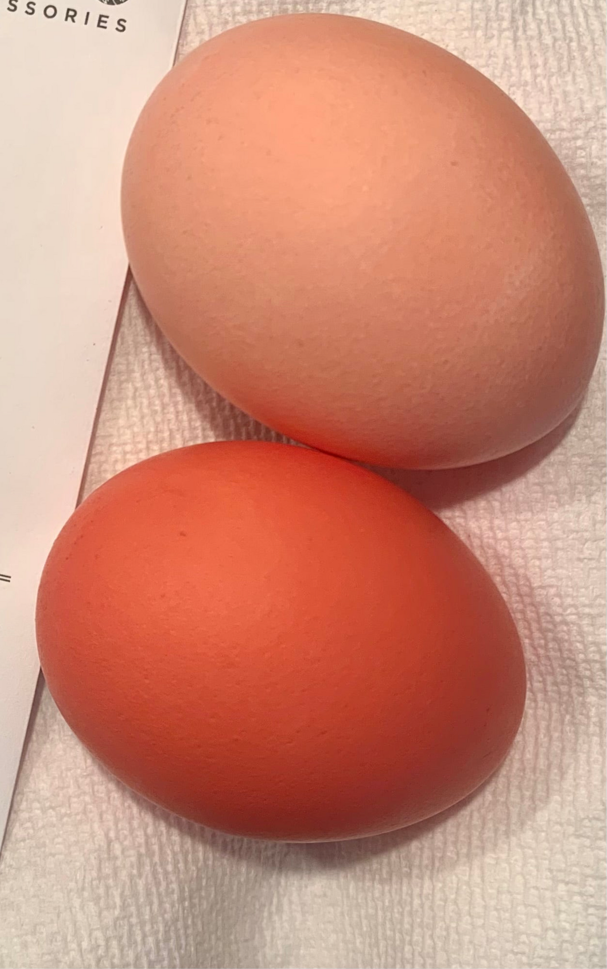 #24 Kokanee Salmon Pysanka Dye