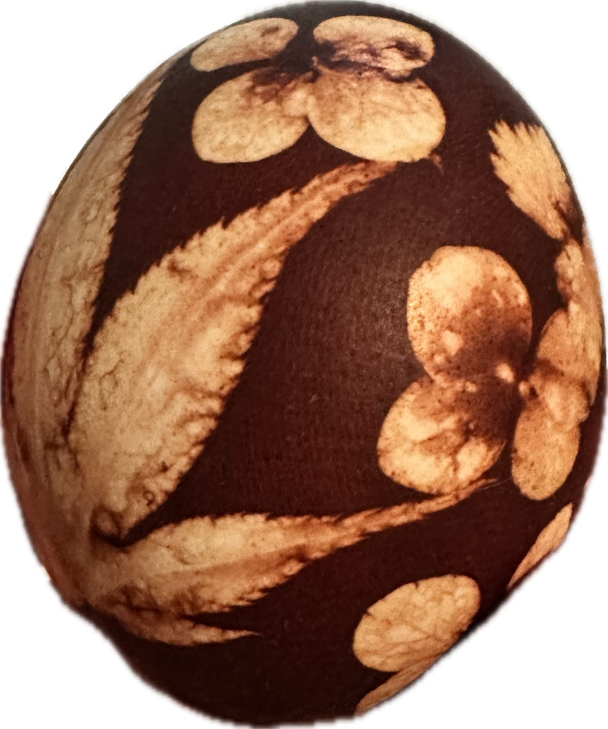 #17. Lystovky: Botanical Onion Skin Eggs - Nada & Kathy - Wednesday July 22nd - 3:30PM to 5:30PM