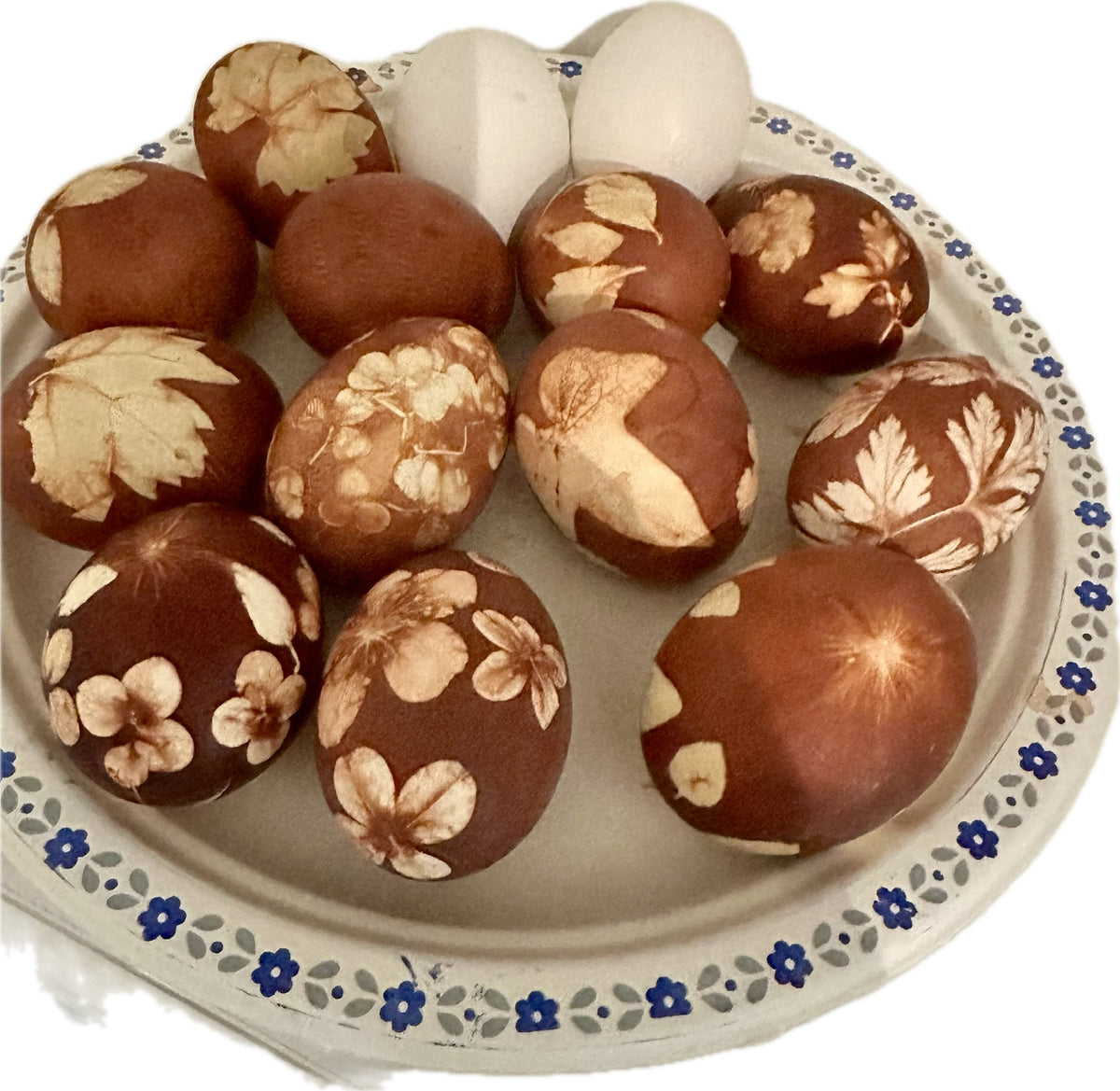 #17. Lystovky: Botanical Onion Skin Eggs - Nada & Kathy - Wednesday July 22nd - 3:30PM to 5:30PM