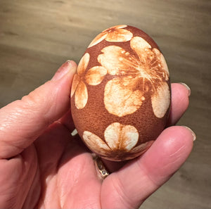 #17. Lystovky: Botanical Onion Skin Eggs - Nada & Kathy - Wednesday July 22nd - 3:30PM to 5:30PM