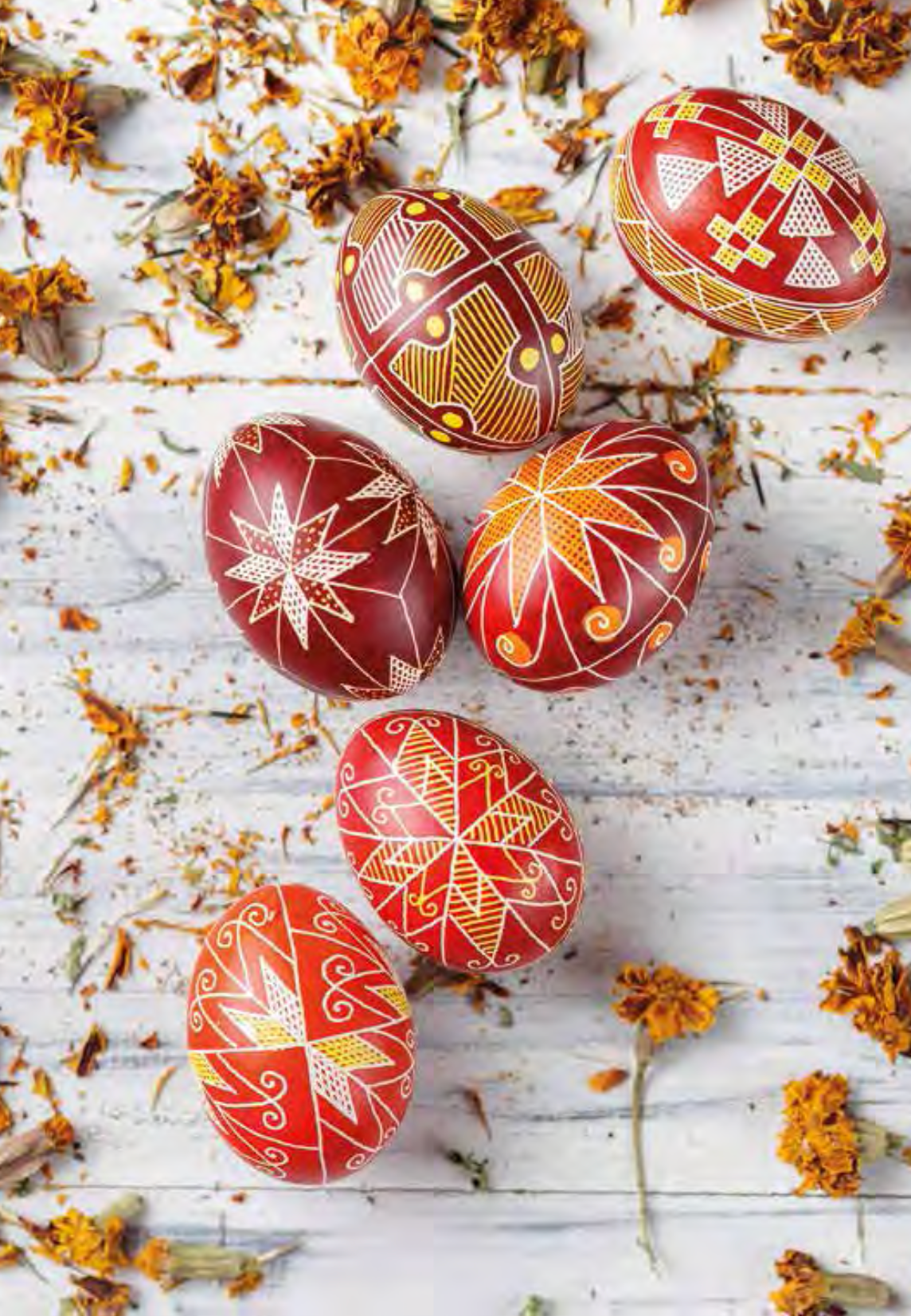 Vira Manko Postcards - Full Set