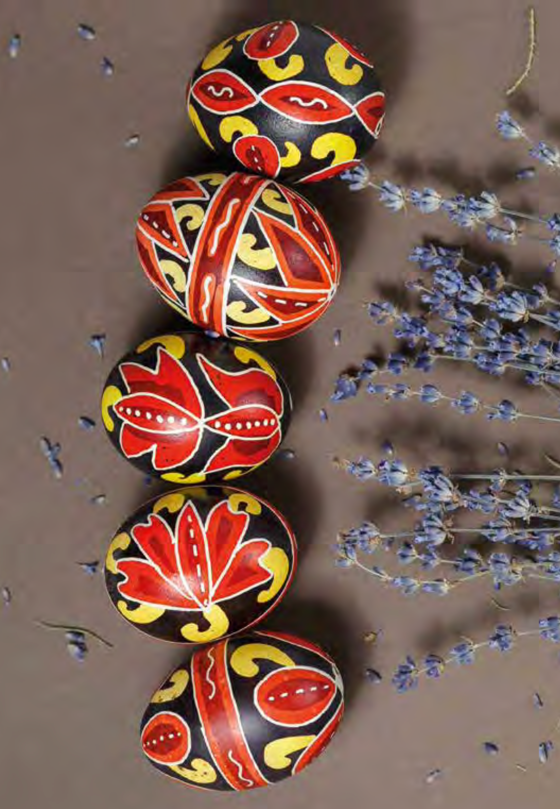 Vira Manko Postcards - Full Set