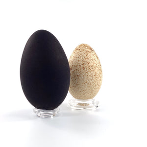 Acrylic Round Egg Stand - Medium