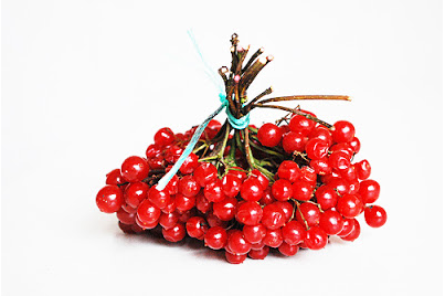 #15 Kalyna Red Pysanka Dye